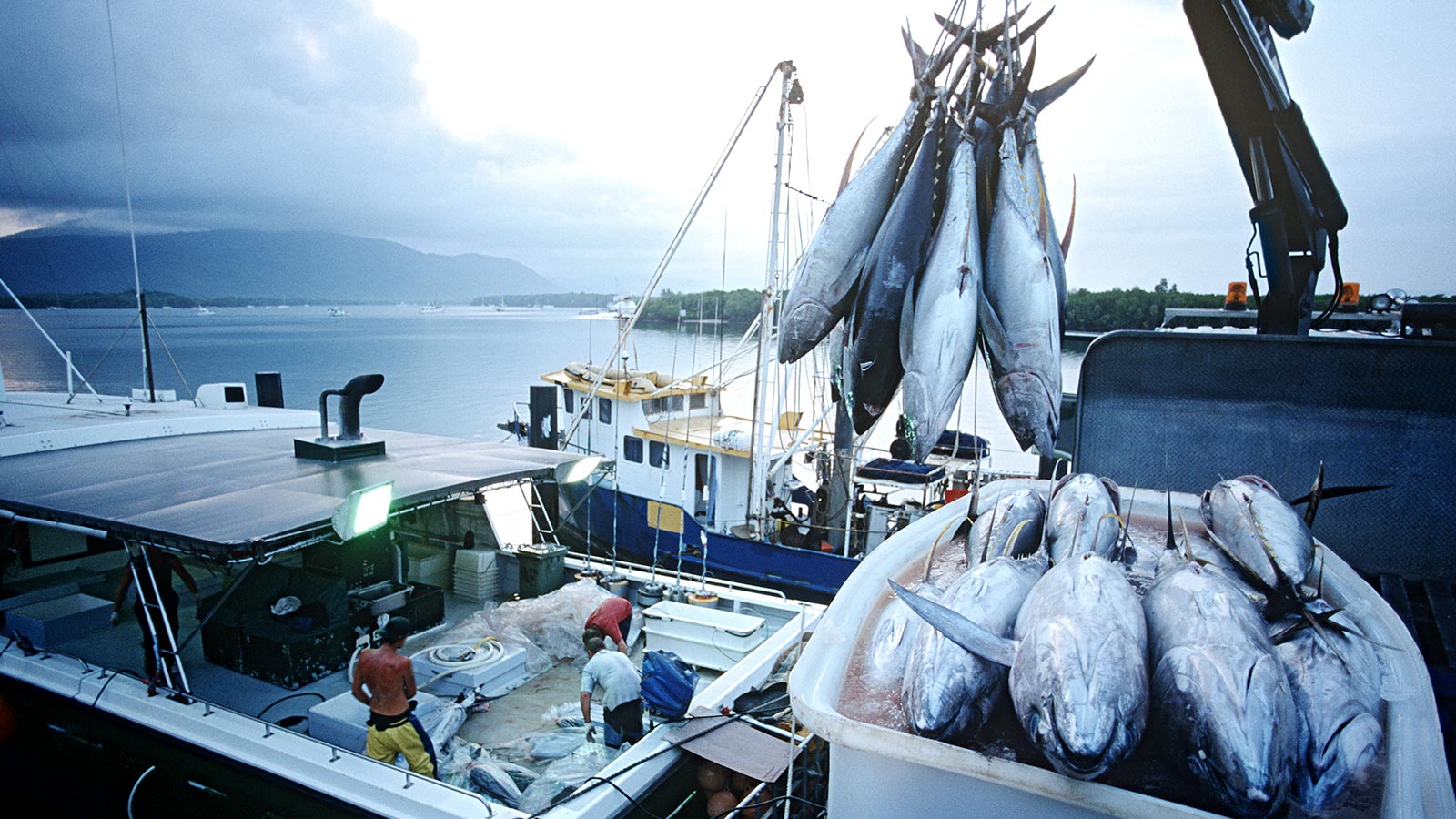 Urge un mayor control